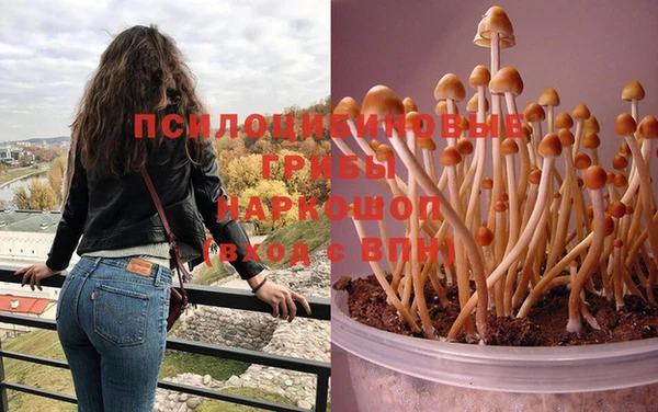мяу мяу мука Абдулино